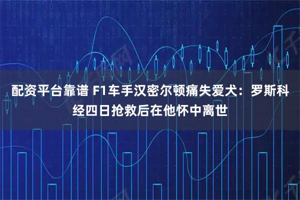 配资平台靠谱 F1车手汉密尔顿痛失爱犬：罗斯科经四日抢救后在他怀中离世